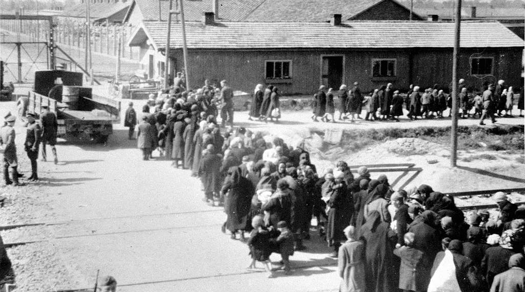 Jøder fra Ungarn på vei mot gasskamrene i Auschwitz-Birkenau 27. mai 1944 (Wikimedia Commons).